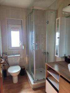 a bathroom with a toilet and a glass shower at Acogedora casa con vistas panorámicas de vigo in Vigo