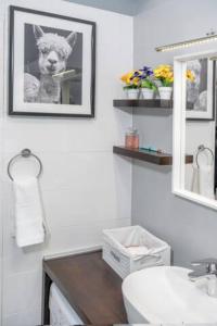 ein Badezimmer mit einem Bild einer Katze an der Wand in der Unterkunft Apartman Megi in Šibenik