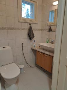 a bathroom with a toilet and a sink at Nicolas apartment in Loimaa