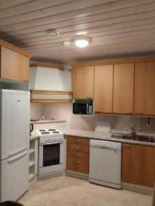 Kuchyň nebo kuchyňský kout v ubytování Nicolas apartment