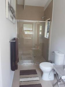 uma casa de banho com um WC branco e um chuveiro em 2 bed 2 bath apartment with stunning sea views. em Ballito