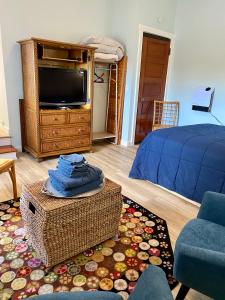 ein Wohnzimmer mit einem TV und einem Bett in der Unterkunft Hasty House Studio in Auburn