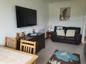 sala de estar con sofá y TV en A great place for you and your dog to stay, en Falmouth