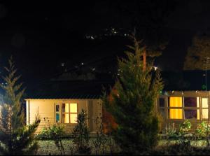 una casa di notte con degli alberi davanti di Golden valley cottages, Chail a Chail