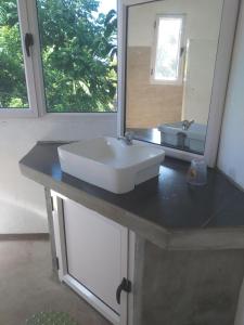 a bathroom with a white sink and a mirror at 2 bedrooms house at Le Bouchon 200 m away from the beach with sea view furnished garden and wifi in Bouchon