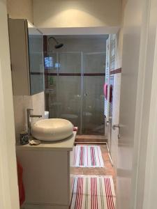 a bathroom with a sink and a shower at Casa Veronica in Sibiu