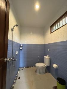 a blue bathroom with a toilet and a shower at Pondok Damai Sidemen in Sidemen