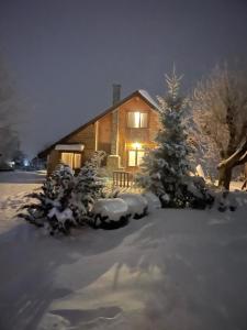 a cabin with a christmas tree in the snow at Chalet Ro in Peştera