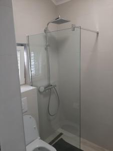 ein Bad mit einer Glasdusche und einem WC in der Unterkunft Luxury flat with amazing view INES in Kotor