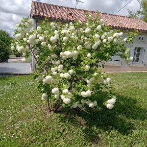 Fotografie z fotogalerie ubytování COQUETTE MAISON v destinaci Tocane-Saint-Apre