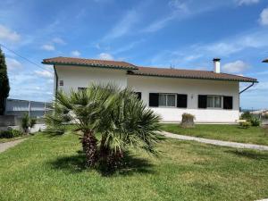 Taman di luar Casa Gorjão