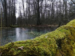 Príroda v okolí dovolenkového domu