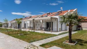 a row of houses with a palm tree in the yard at Danai Maisonettes Ofriniou in Ofrínion