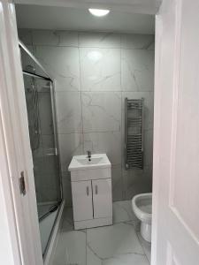 een badkamer met een douche, een wastafel en een toilet bij Burleigh House - 3 Bed House in Leicester