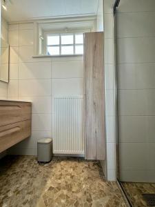 Habitación con baño con ducha y ventana. en Kleine Huisje en Ruinerwold