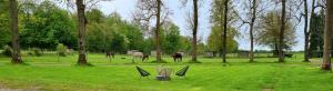 Zahrada ubytování Gite Haras du Bois de Formerie