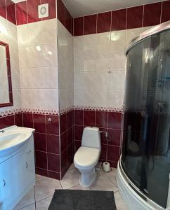 a bathroom with a toilet and a sink at Apartament BARTUŚ do 4 osób - STEGNA mierzeja wiślana in Stegna