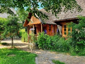 a dog walking in front of a wooden house at Cisowe Wzgórze in Rowele