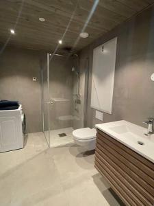 uma casa de banho com um chuveiro, um WC e um lavatório. em Fjellnest Hemsedal em Hemsedal