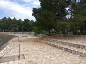 a set of stone steps with a tree in the background at Apartments Ingrid in Novigrad Istria