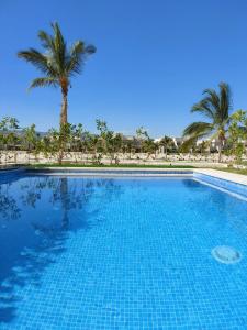 une grande piscine avec des palmiers en arrière-plan dans l'établissement Hawana Salalah luxury 1BR TH with private pool, à Ma‘mūrah