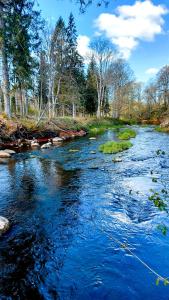 a river with blue water and rocks and trees at Glamping dome tent BUUDA in Salacgrīva