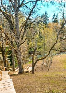 a tree with a wooden bridge next to a lake at Glamping dome tent BUUDA in Salacgrīva