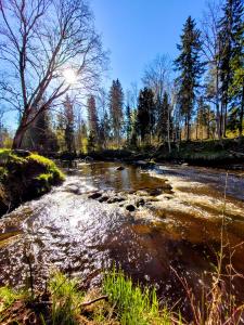 Příroda nedaleko luxury tent + 6 fotografií