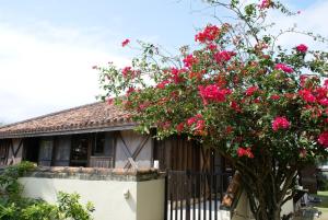 a tree with pink flowers in front of a house at Ishigakijima Akagawara Villa in Ishigaki Island