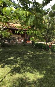 Vonkajšia záhrada v ubytovaní Le gîte de Gascogne