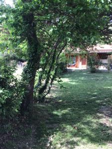 Vonkajšia záhrada v ubytovaní Le gîte de Gascogne