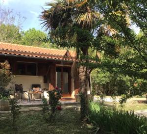 una casa con una palmera en el patio en Le gîte de Gascogne en Lectoure