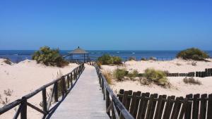 a wooden boardwalk leading to a beach with the ocean at La Pavona 11 - 1ª línea de Playa Chipiona in Chipiona