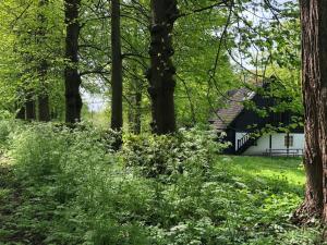 una casa blanca en medio de un bosque en Het Wagenhuis, en Loon op Zand