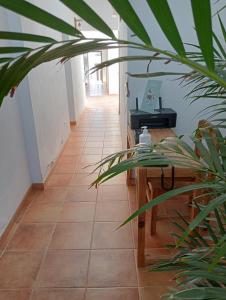 a hallway with a table and a plant at Casa Mocan in Arrecife