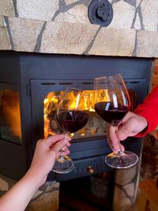 two people holding wine glasses in front of an oven at LogCabin Žabljak in Žabljak +18 photos