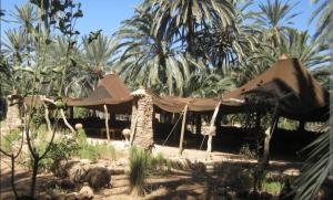 een tent midden in een tuin met palmbomen bij Riad dar asalam in Agadir