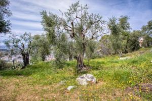L26 Villa Bonnard 10PAX Pool, Garden, parking, AC