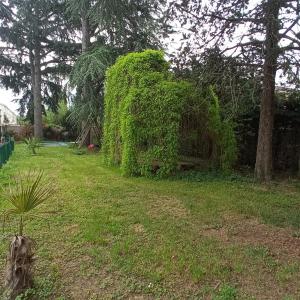 um arbusto coberto de hera verde num quintal em Chez BEN avec tout le confort clim wifi Netflix gratuit em Castres
