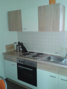 a kitchen with a stove and a sink at Kleine Apartments in Torgau