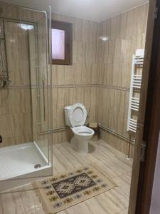 uma casa de banho com um WC e uma cabina de duche em vidro. em Pensiunea Todorica Sergiu em Şieu