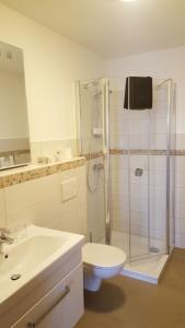 a bathroom with a shower and a toilet and a sink at Zum alten Bahnhof in Blunk