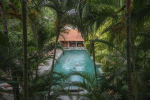 an overhead view of a swimming pool with palm trees at Plantation Urban Resort & Spa in Phnom Penh