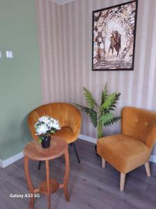una sala de estar con una silla y una mesa con flores en B&B Het Oude Doktershuys, 