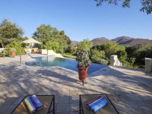a patio with a pool and a potted plant at Sanbona Wildlife Reserve in Barrydale