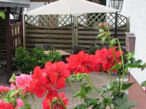 un grupo de flores rojas y un paraguas en Ferienwohnung Benz-Boch, en Lahr