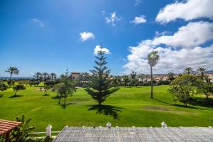 un árbol en un parque con un campo verde en El Olivar Beach Golf, en Caleta de Fuste