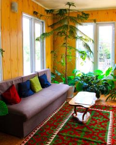 sala de estar con sofá y algunas plantas en Sanjyra hostel, en Karakol