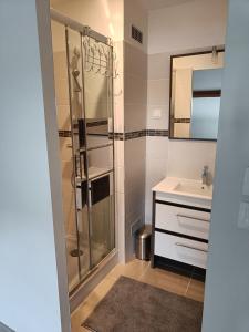 a bathroom with a shower and a sink at Gîte dans les Pyrénées in Camurac