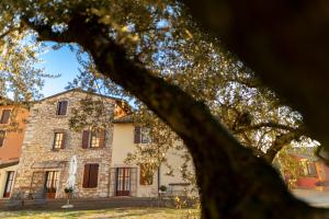 widok na dom zza drzewa w obiekcie Musella Winery & Relais w mieście San Martino Buon Albergo